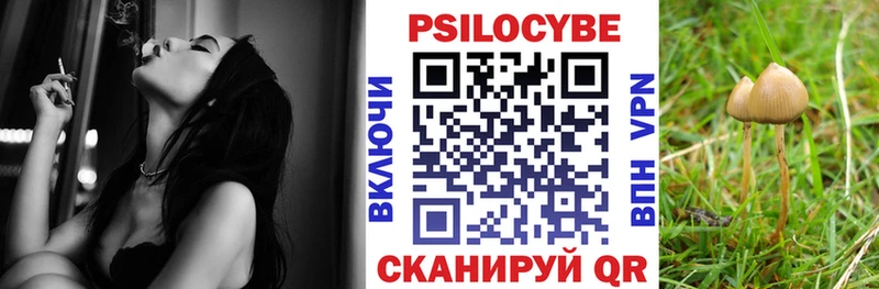 Купить закладки Богучар Галлюциногенные грибы Magic Shrooms